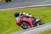 PJ-Motorsport-Photography-2020;anglesey;brands-hatch;cadwell-park;croft;donington-park;enduro-digital-images;event-digital-images;eventdigitalimages;mallory;no-limits;oulton-park;peter-wileman-photography;racing-digital-images;silverstone;snetterton;trackday-digital-images;trackday-photos;vmcc-banbury-run;welsh-2-day-enduro